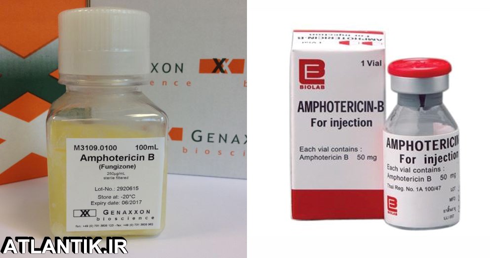 داروشناسي آتلانتيک - معرفي داروي ضد قارچ آمفوتریسین بی– Amphotericin-B
